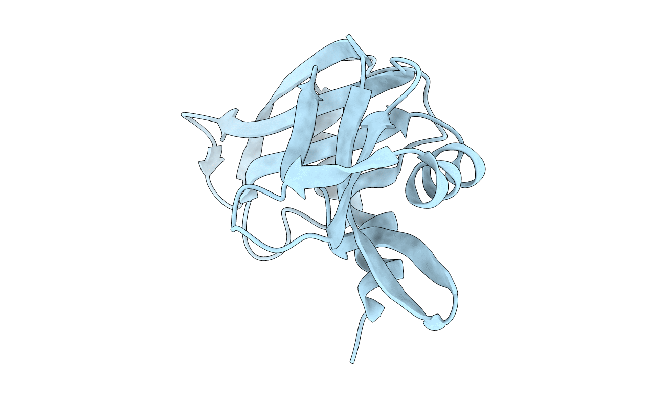 1RNX image