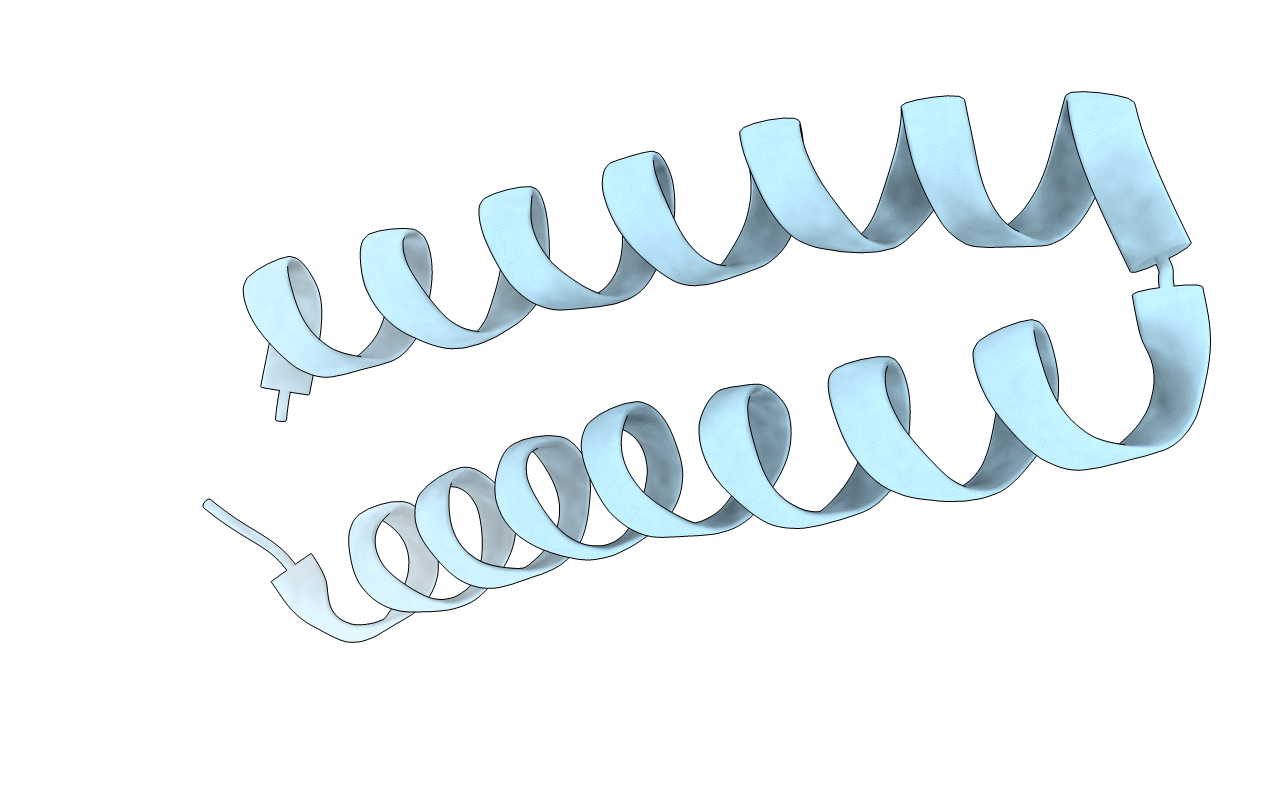 1ROP image