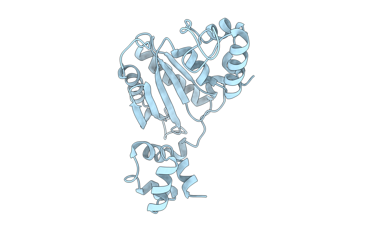 1RPL image