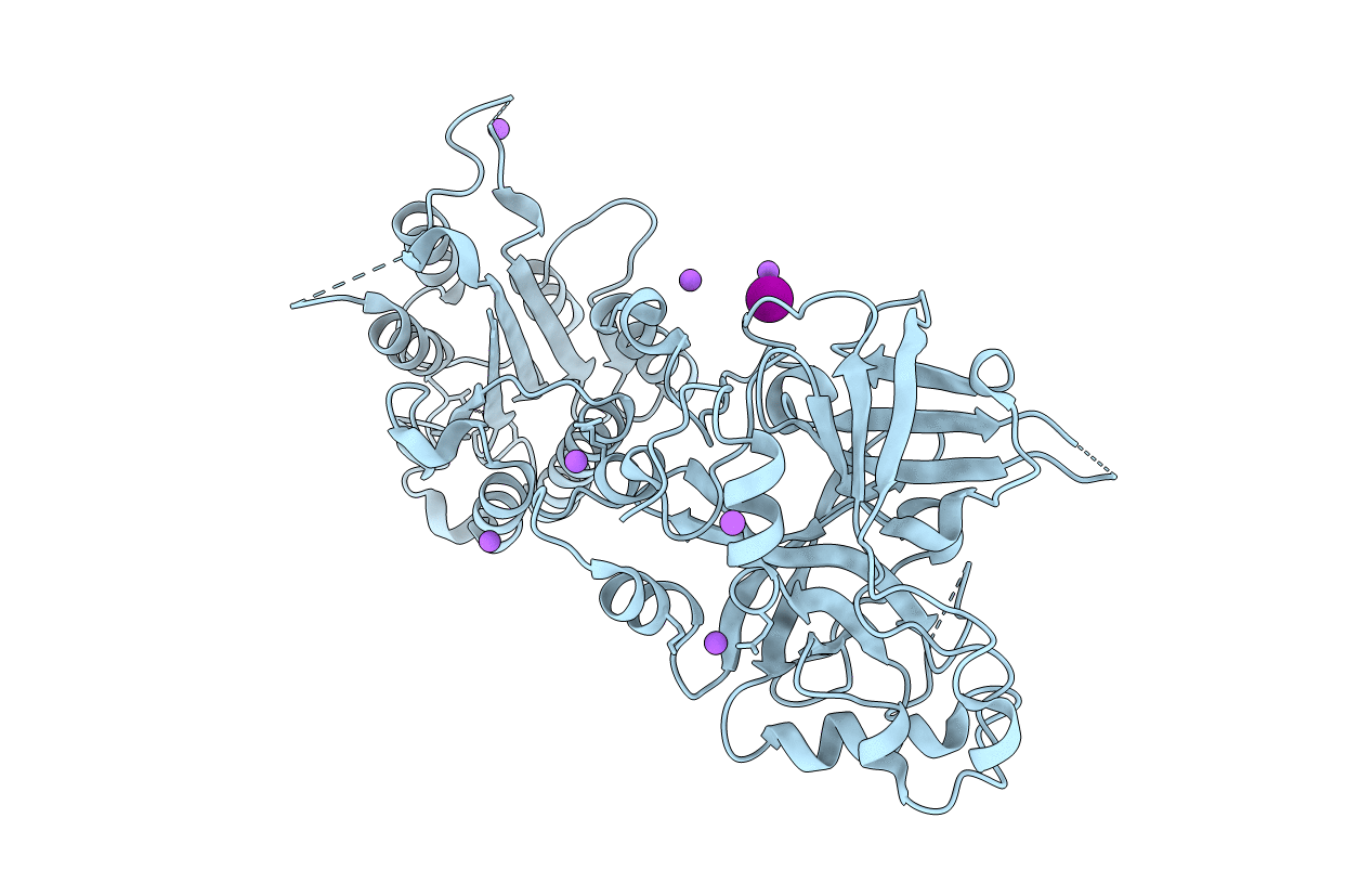 1RRK image