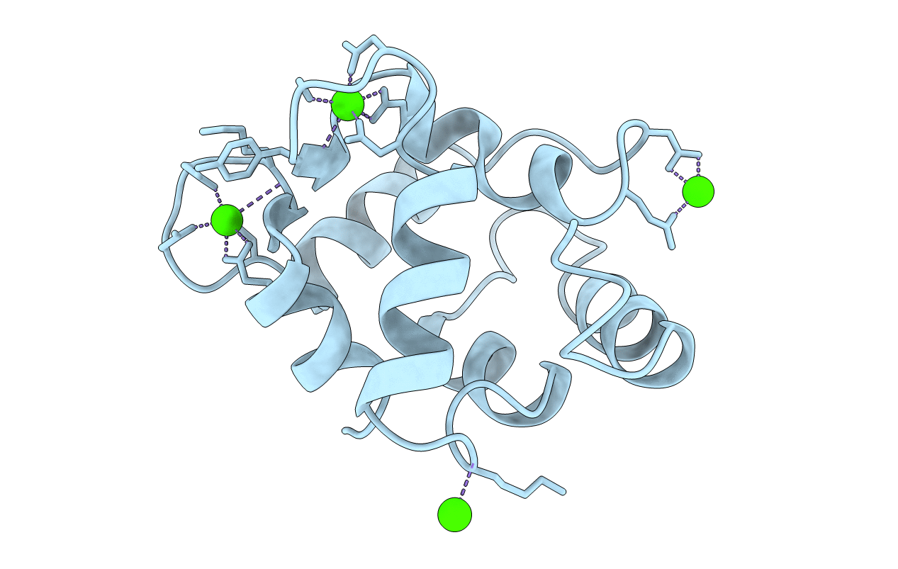 1RRO image