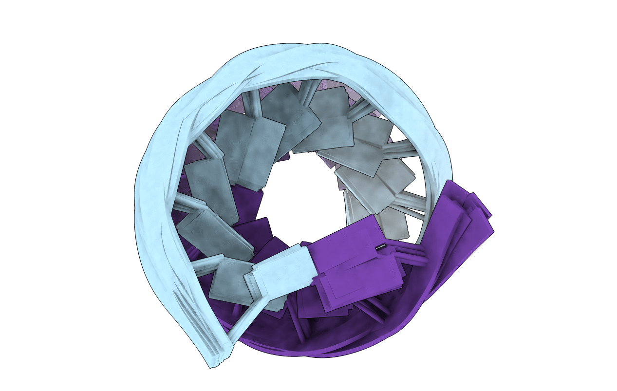1RRR image