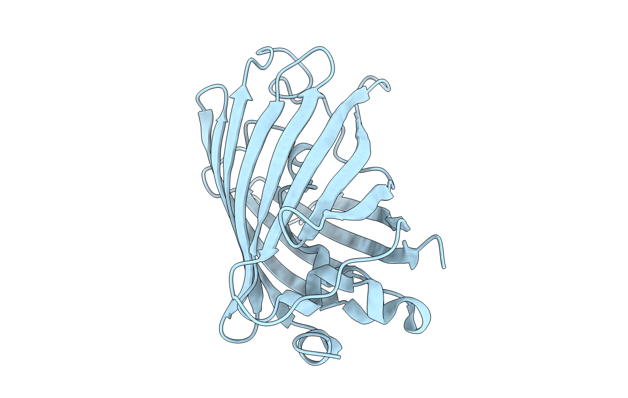 1RRX image