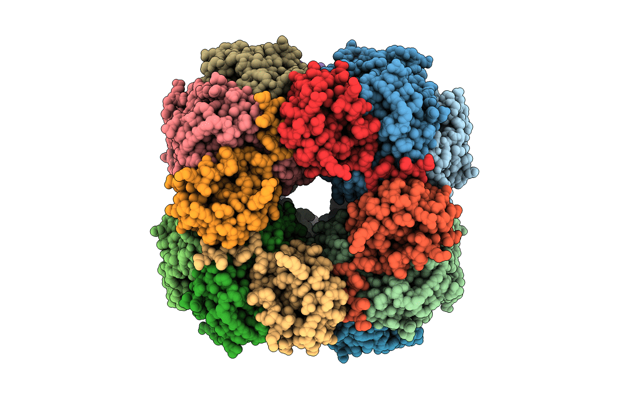1RSC image