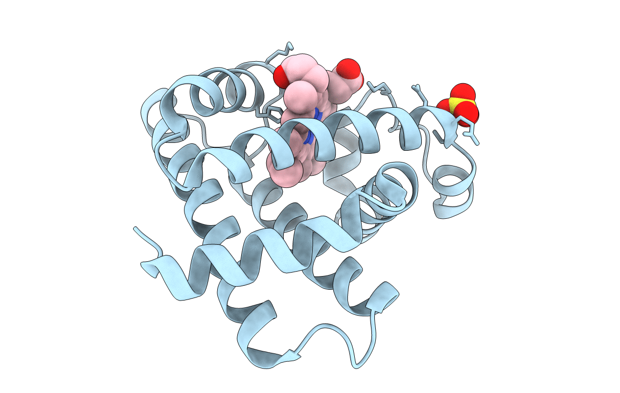 1RSE image