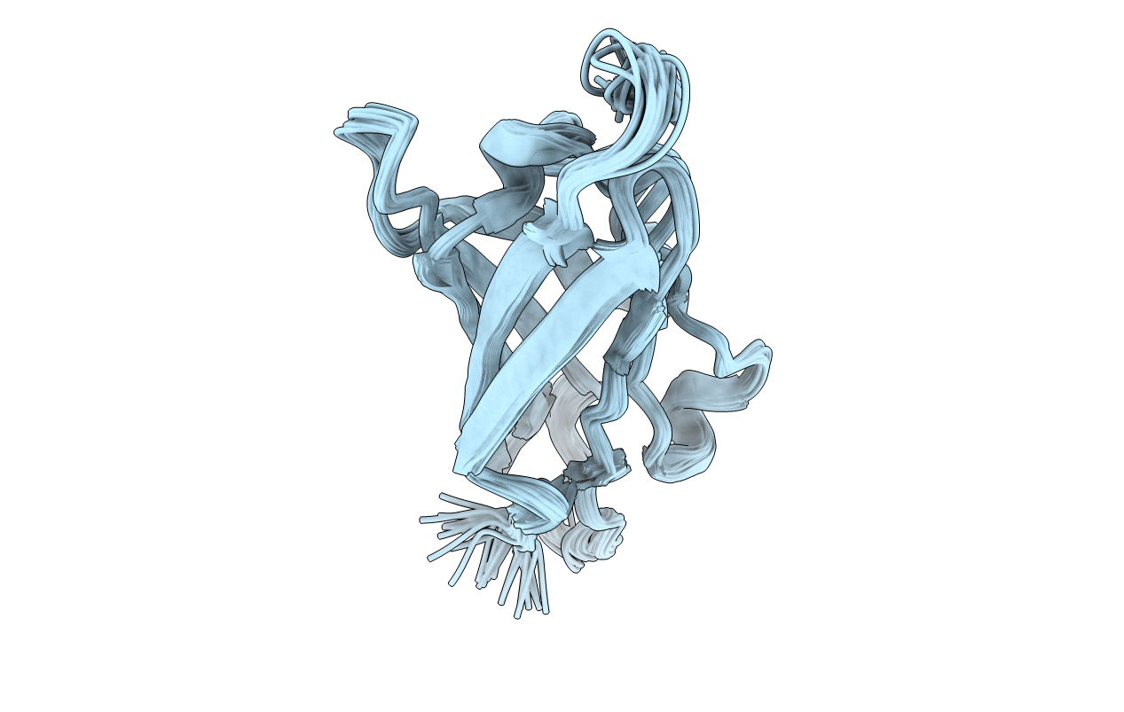 1RSF image