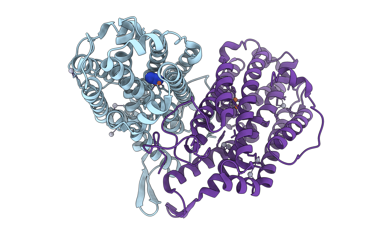 1RSV image