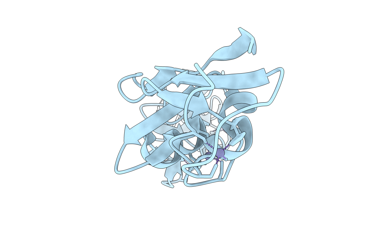 1RUT image