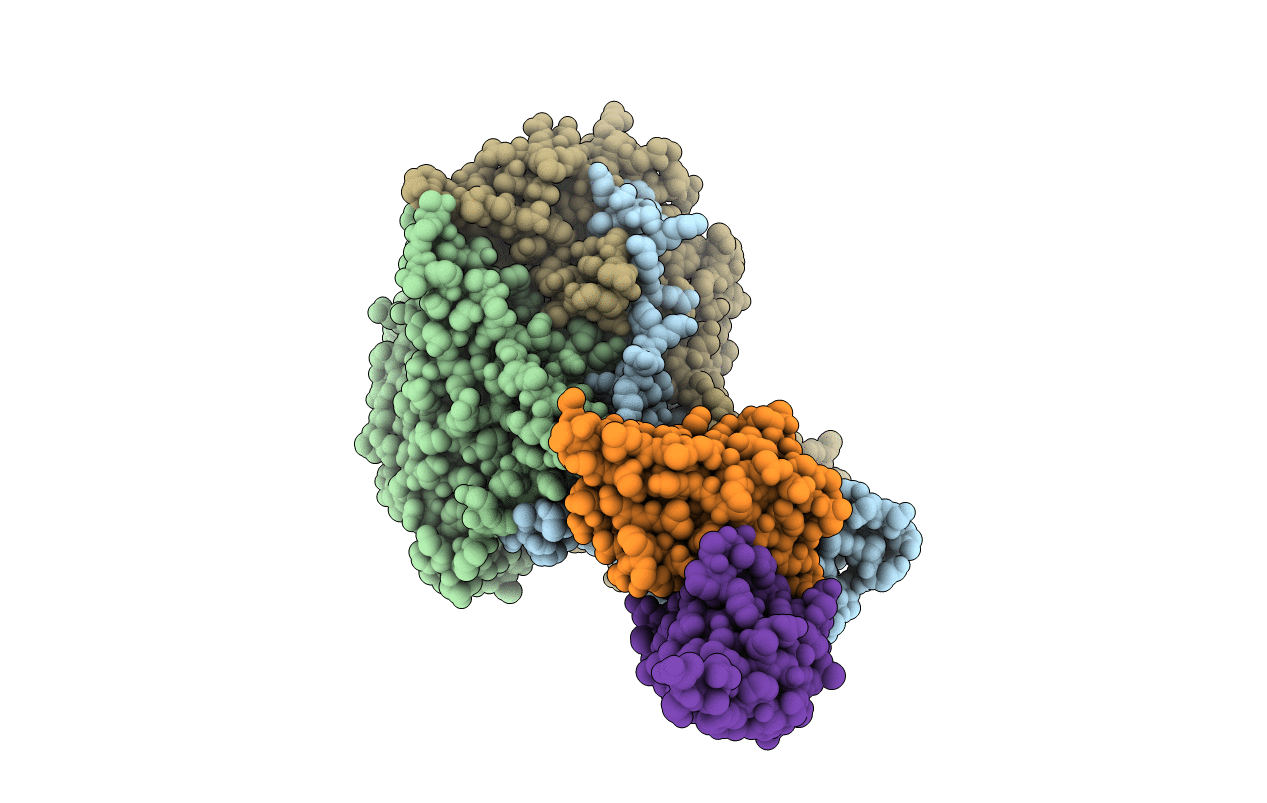 1RVF image