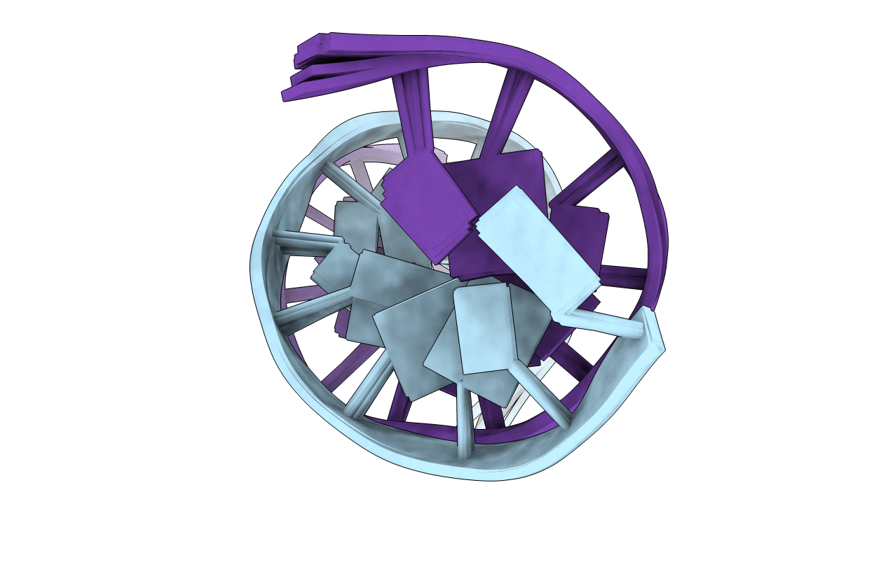 1RVI image