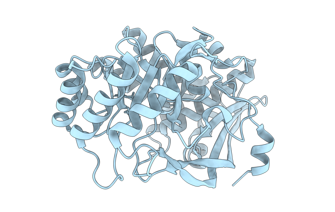 1RVK image