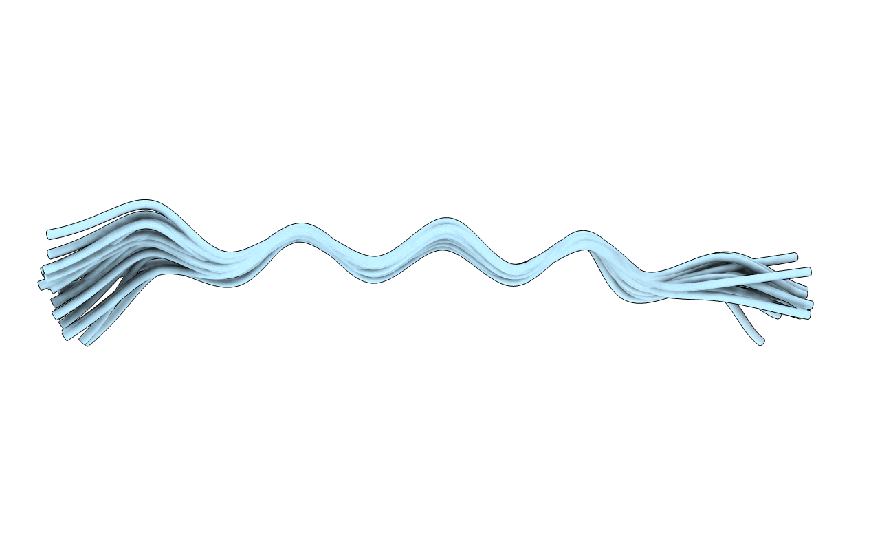 1RVS image