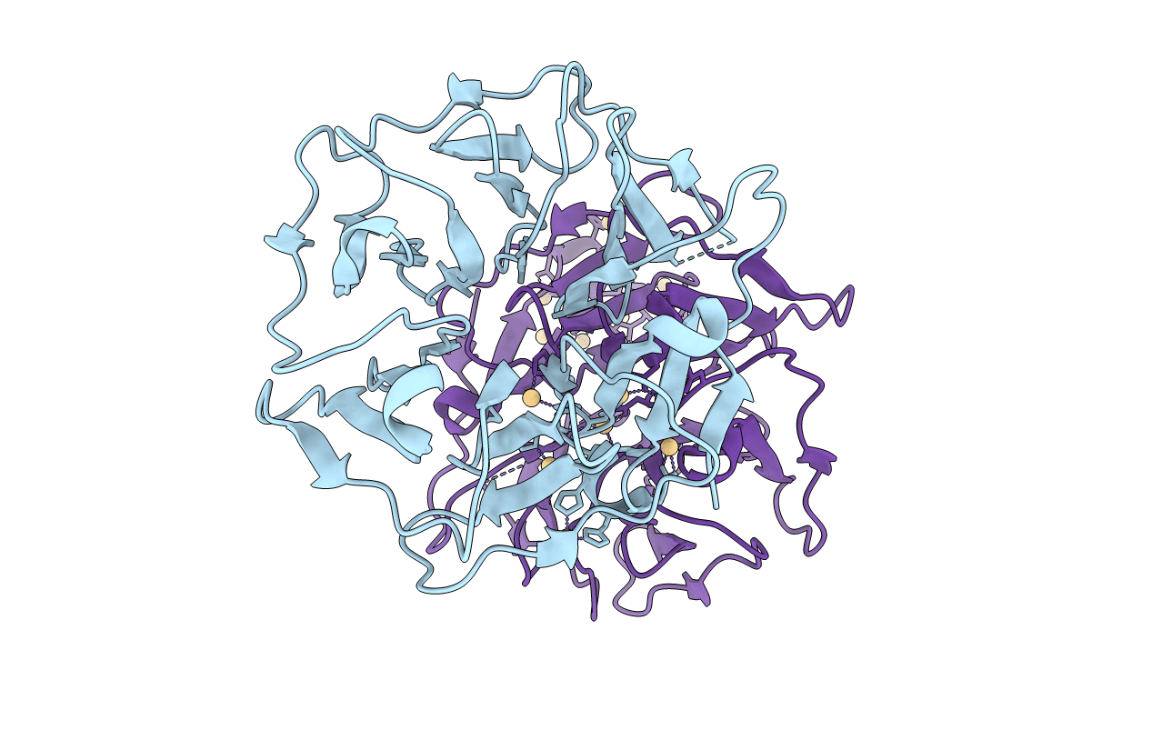 1RWI image