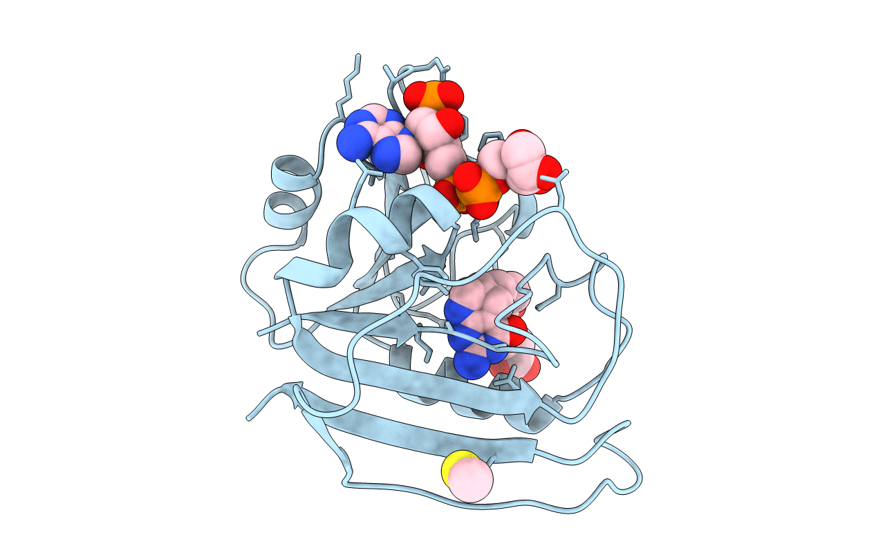 1RX4 image