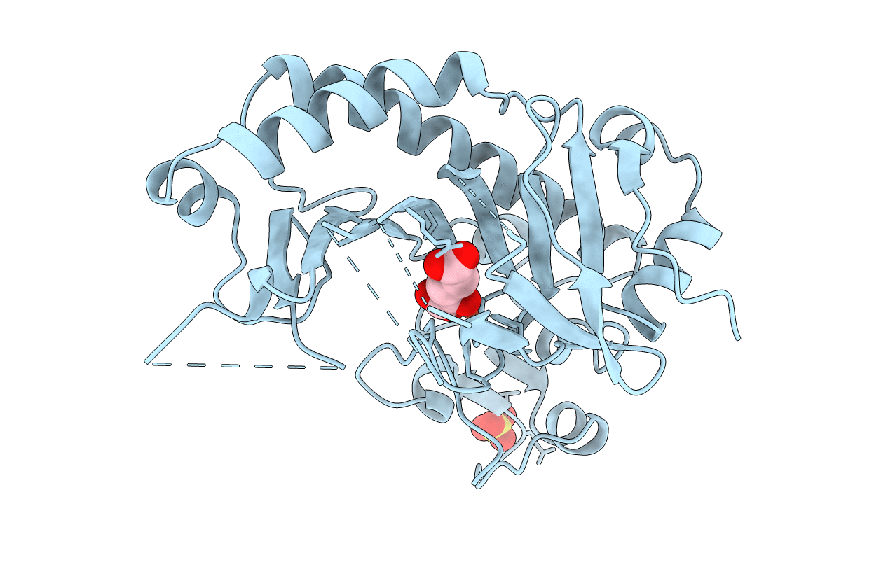 1RXG image