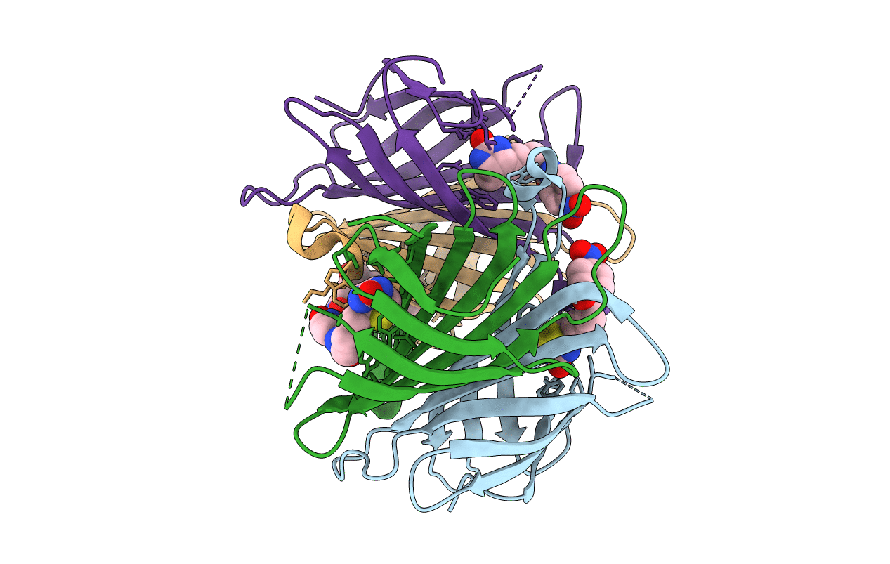 1RXJ image