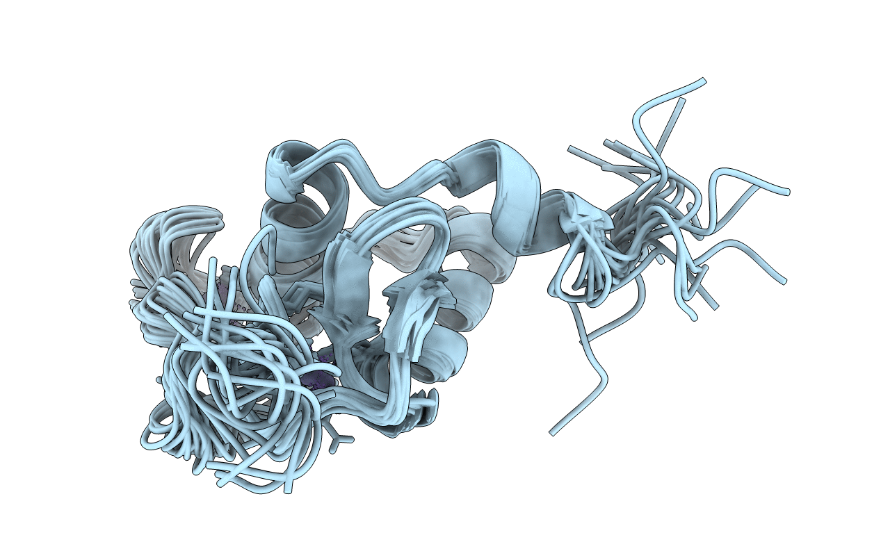1RXR image