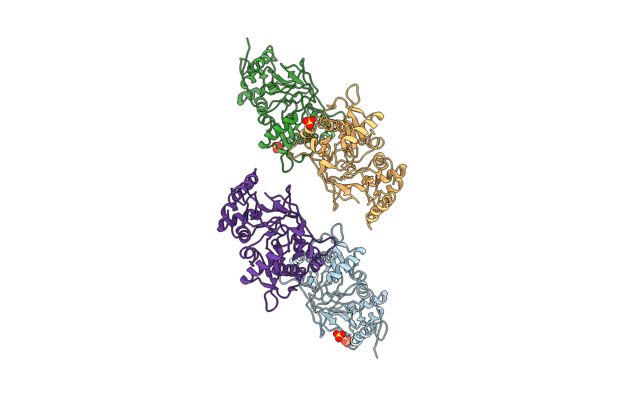 1rxt image