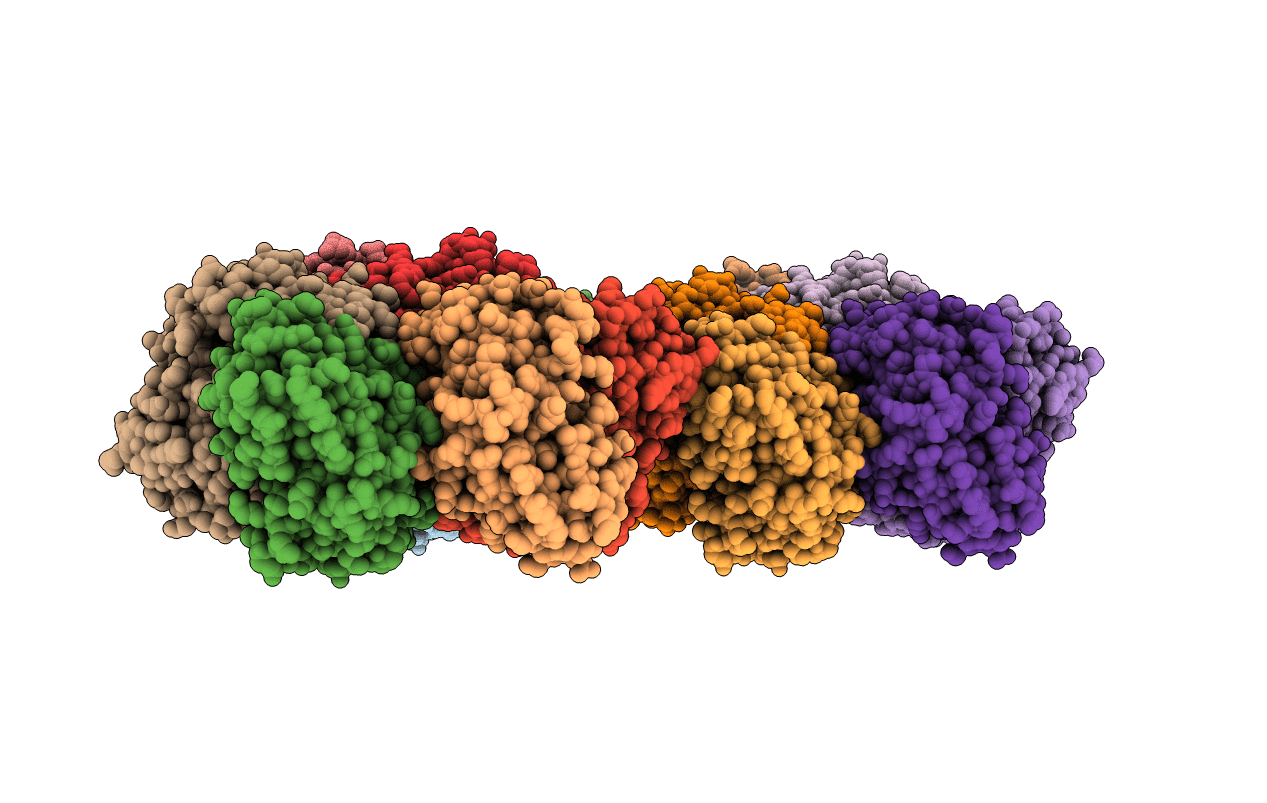 1RXU image
