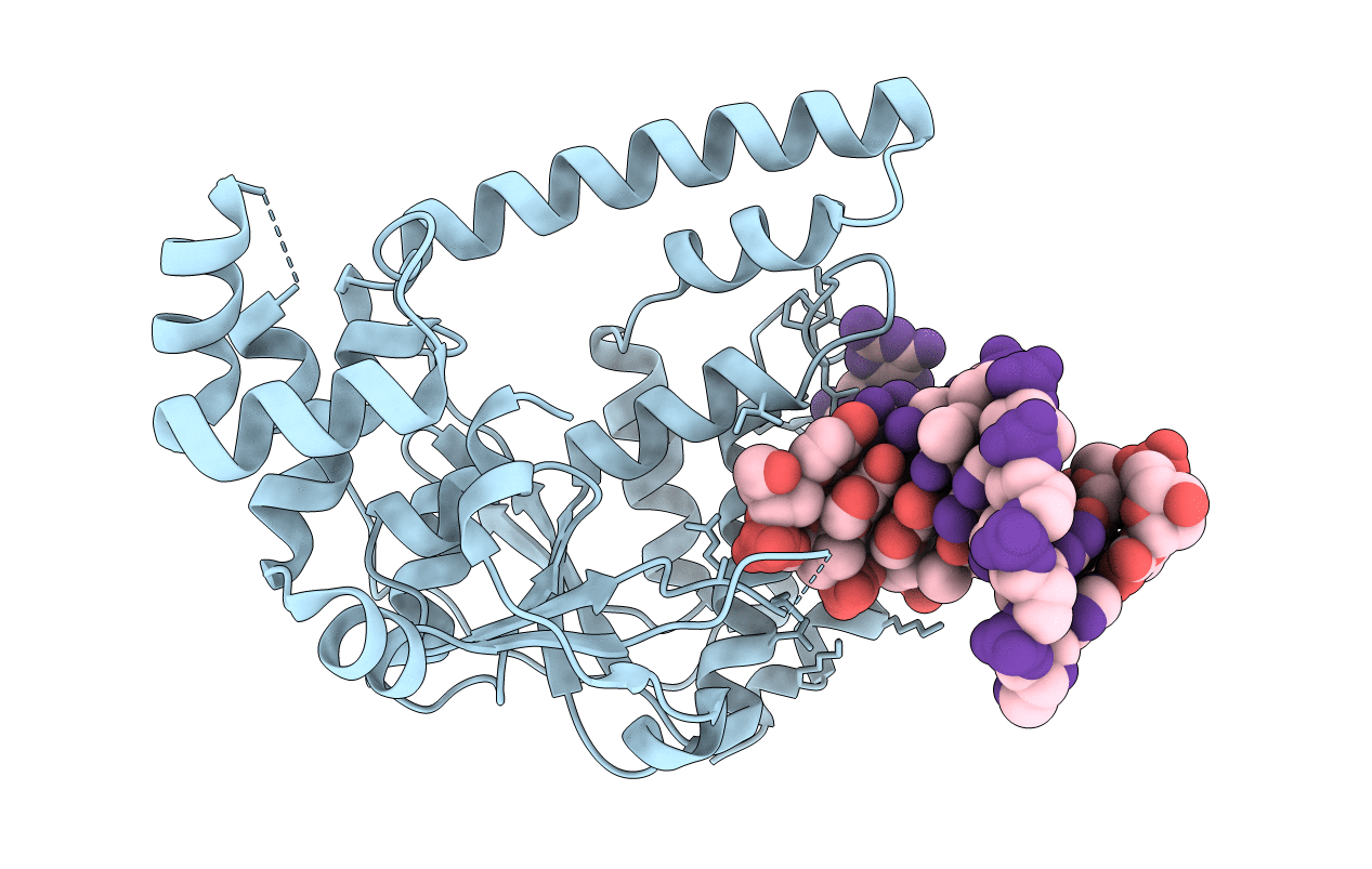 1RXW image