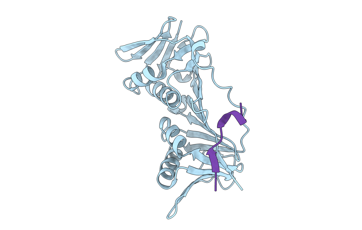 1RXZ image