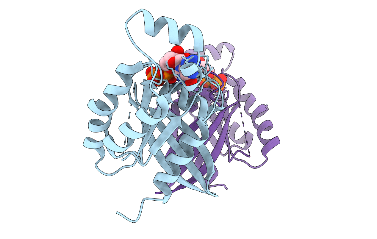 1RYF image