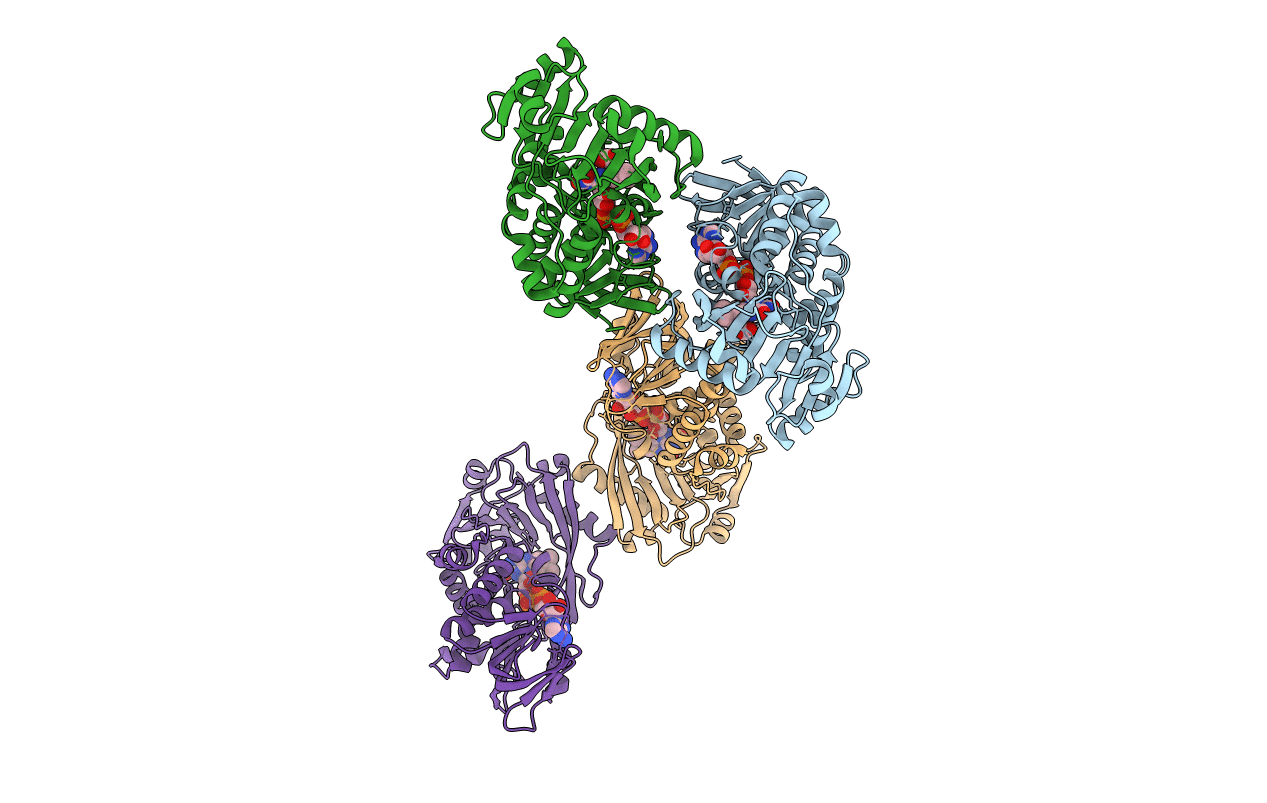 1RYI image