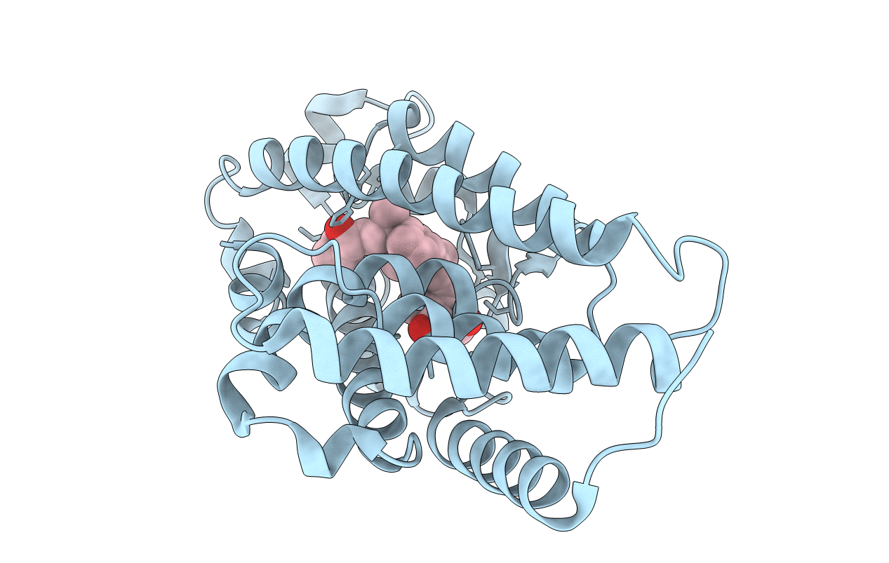 1S19 image