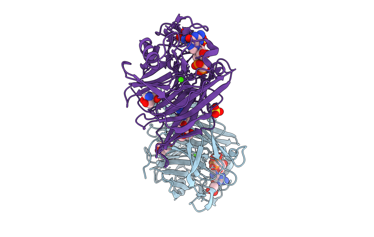 1S1D image