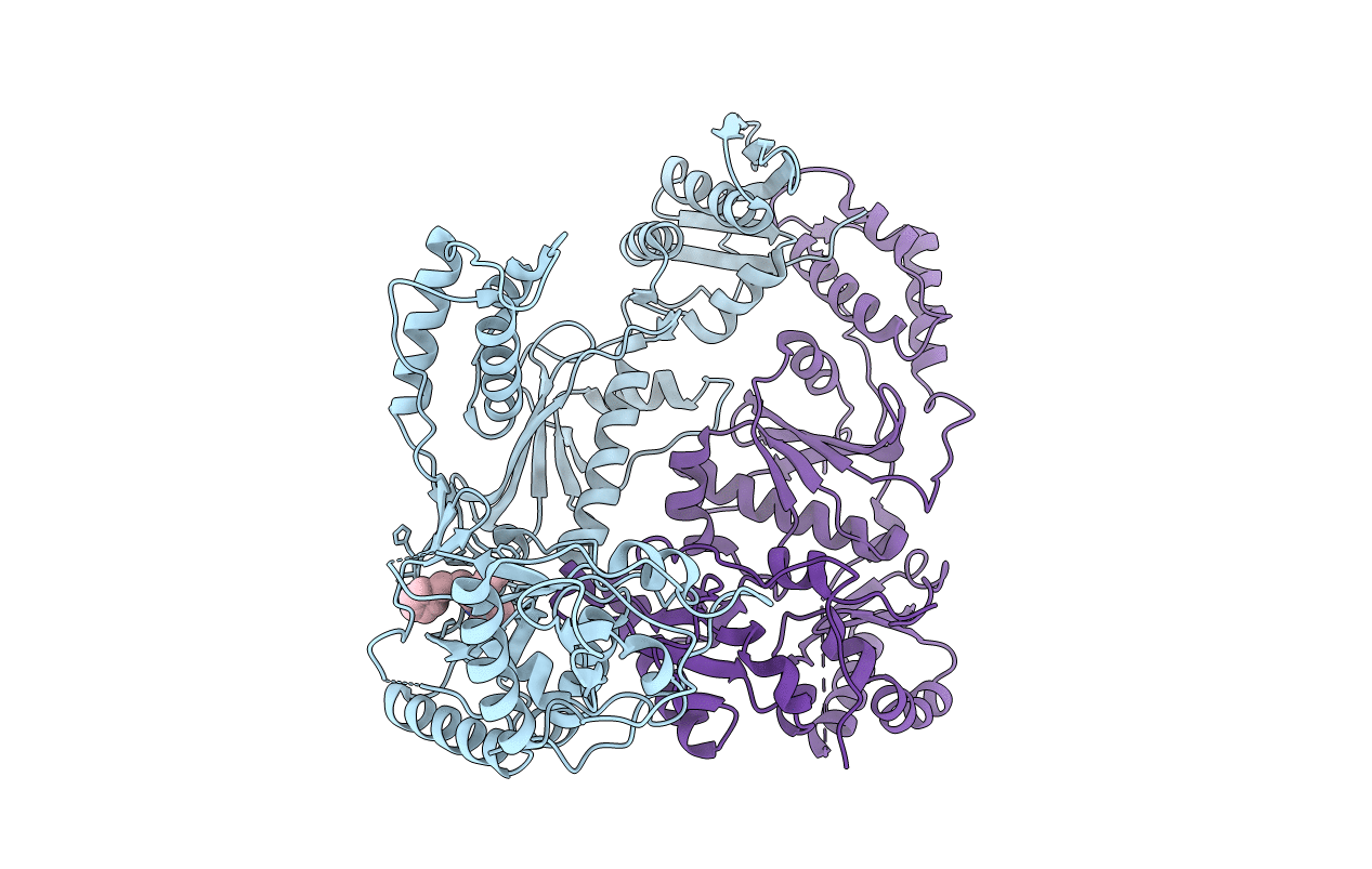 1S1V image