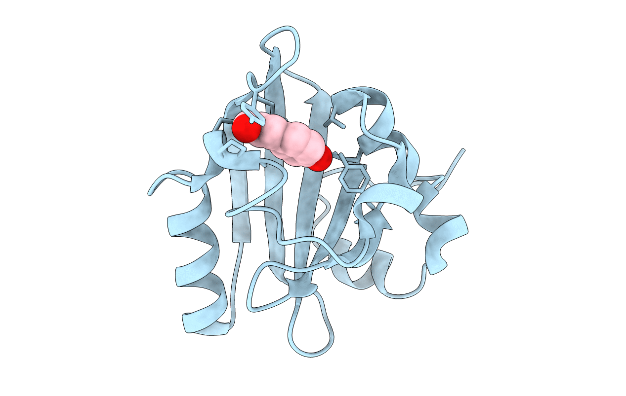 1S1Y image