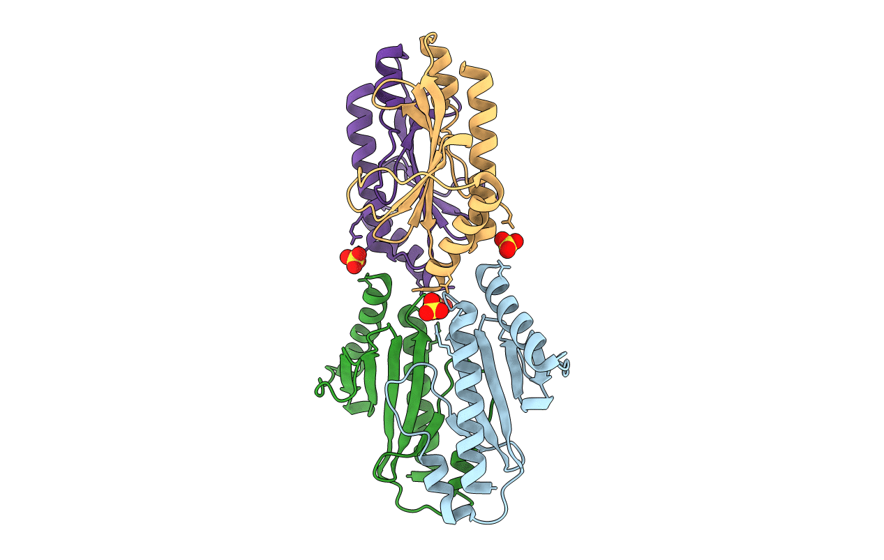 1S28 image