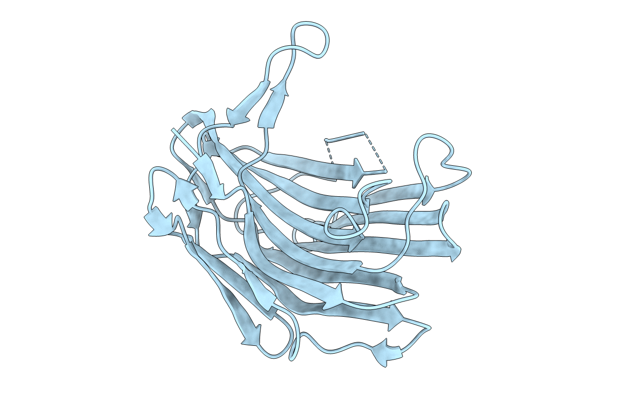 1S2B image