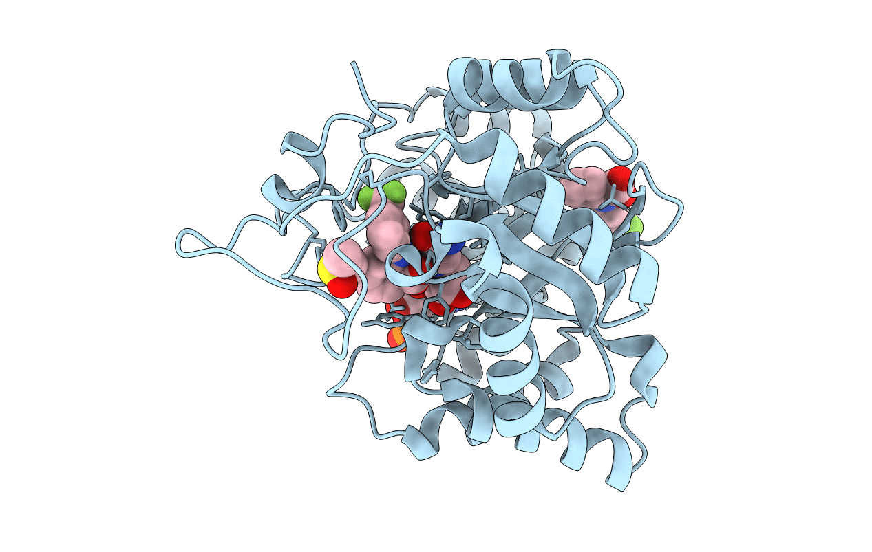 1S2C image