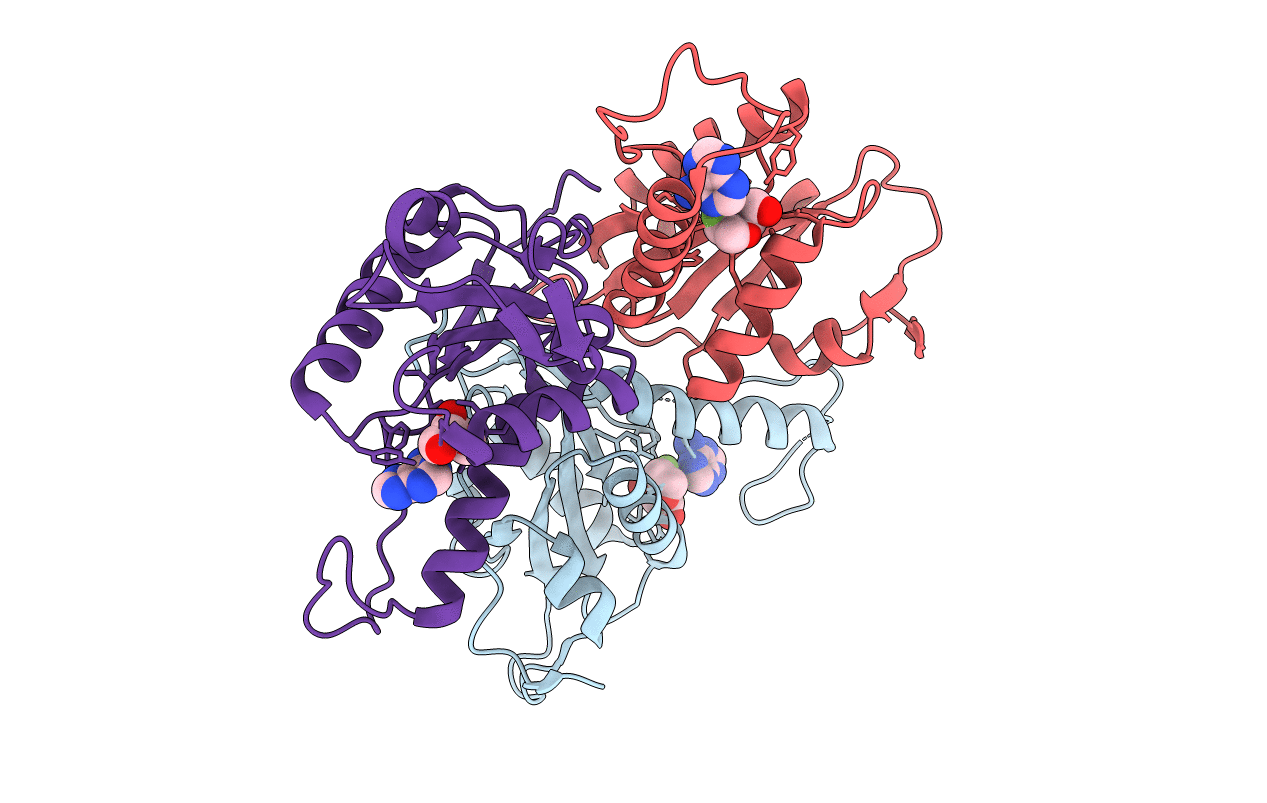 1S2D image