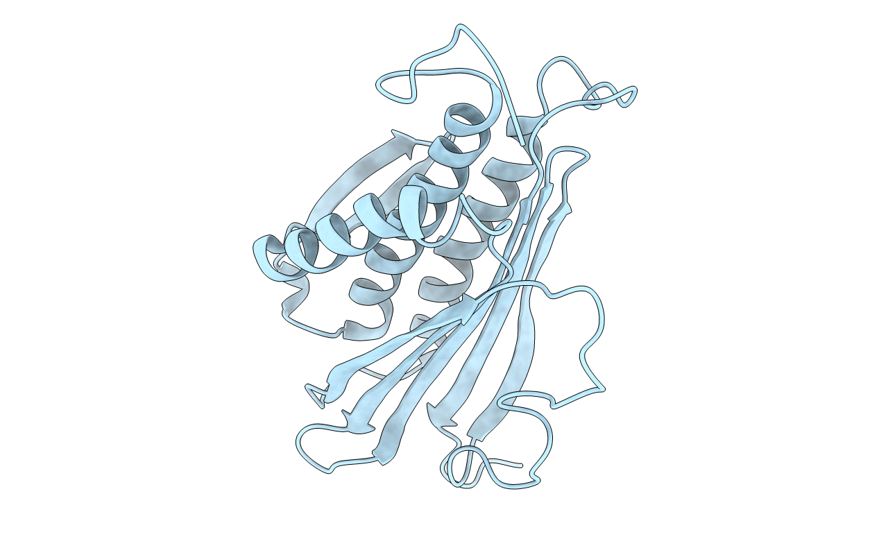 1S2H image