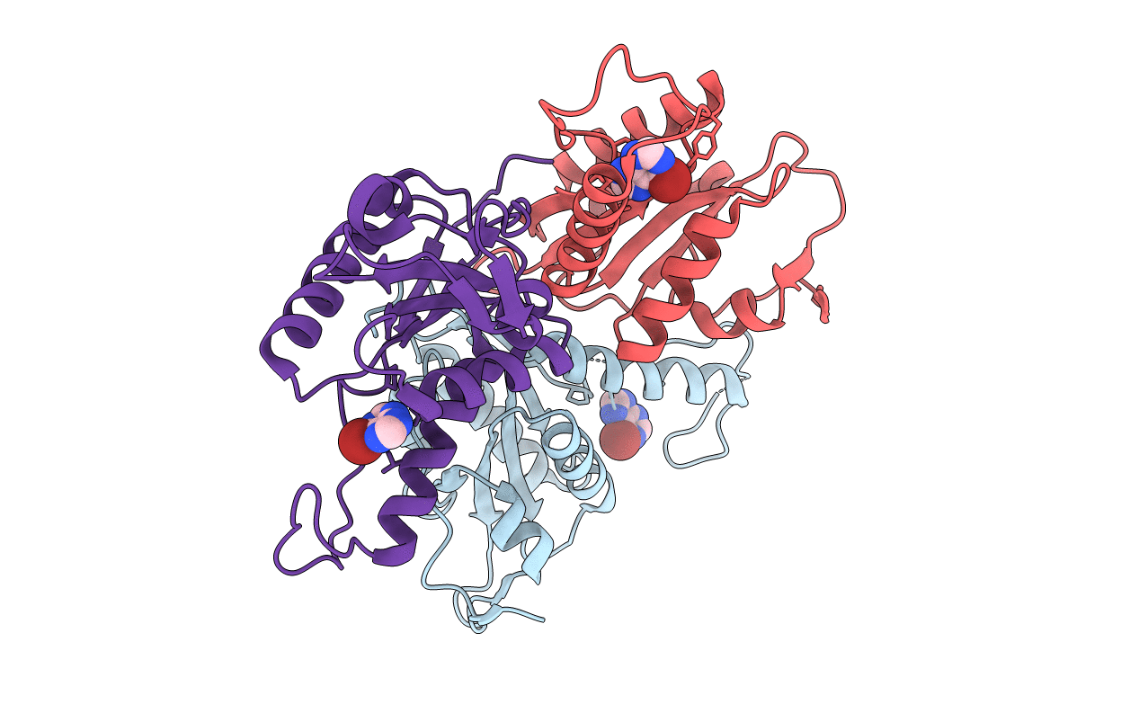 1S2I image
