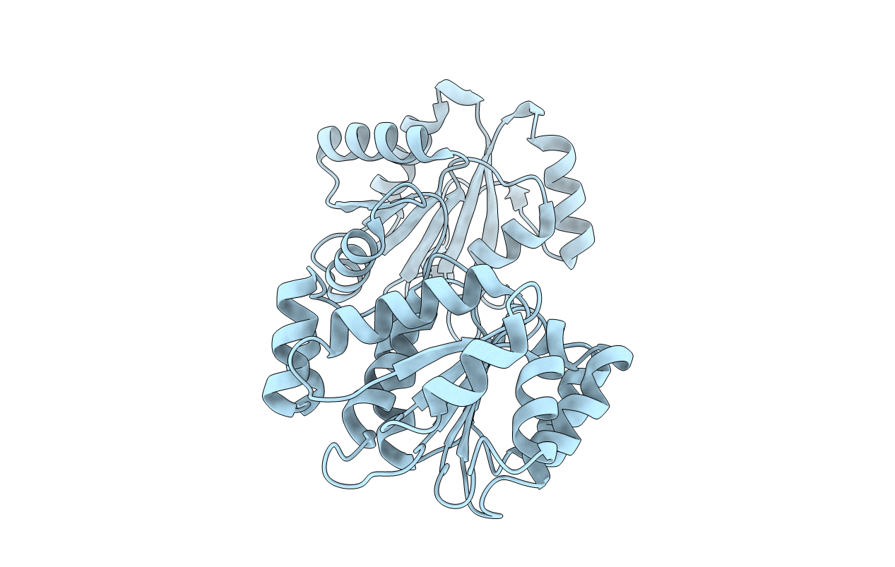 1S2M image