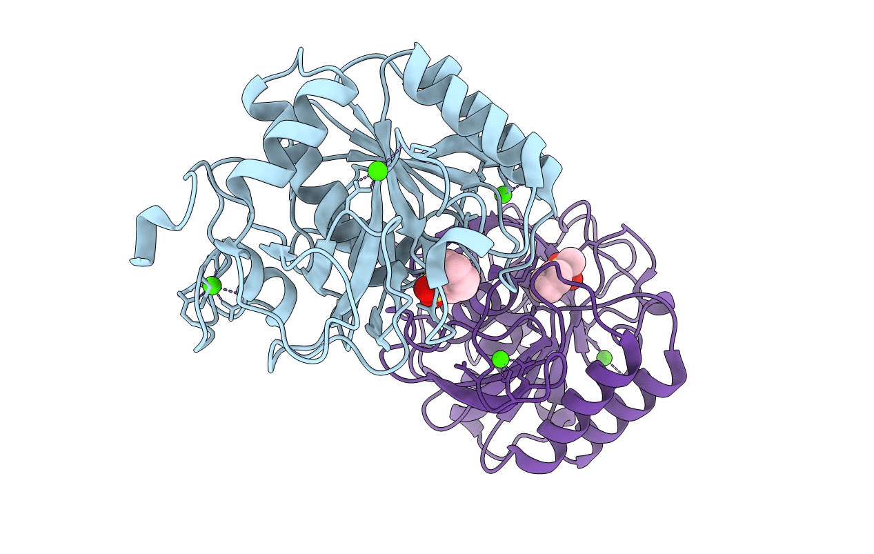 1S2N image