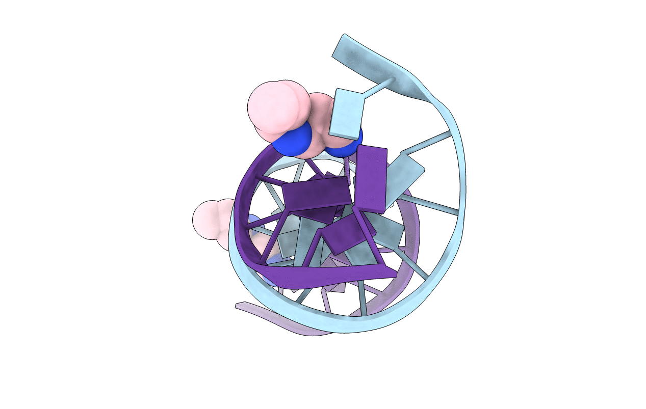1S2R image