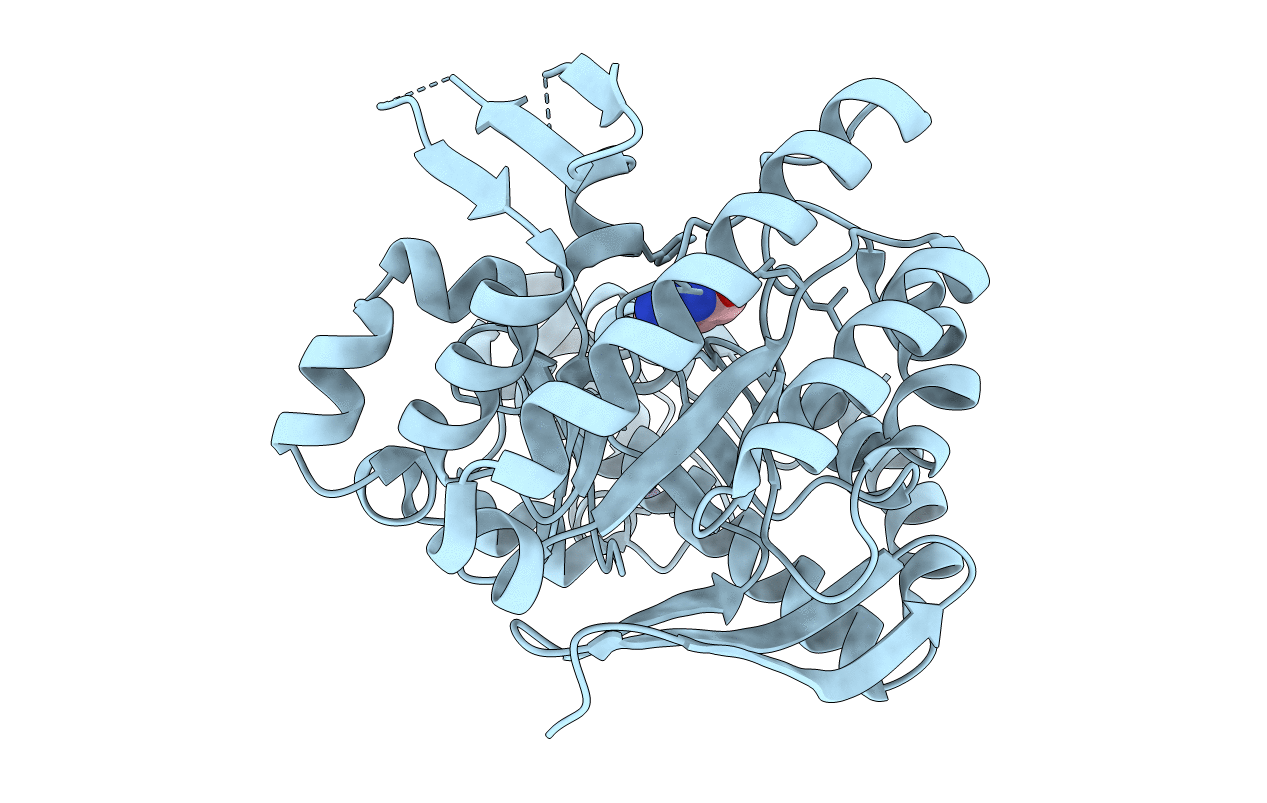 1S38 image