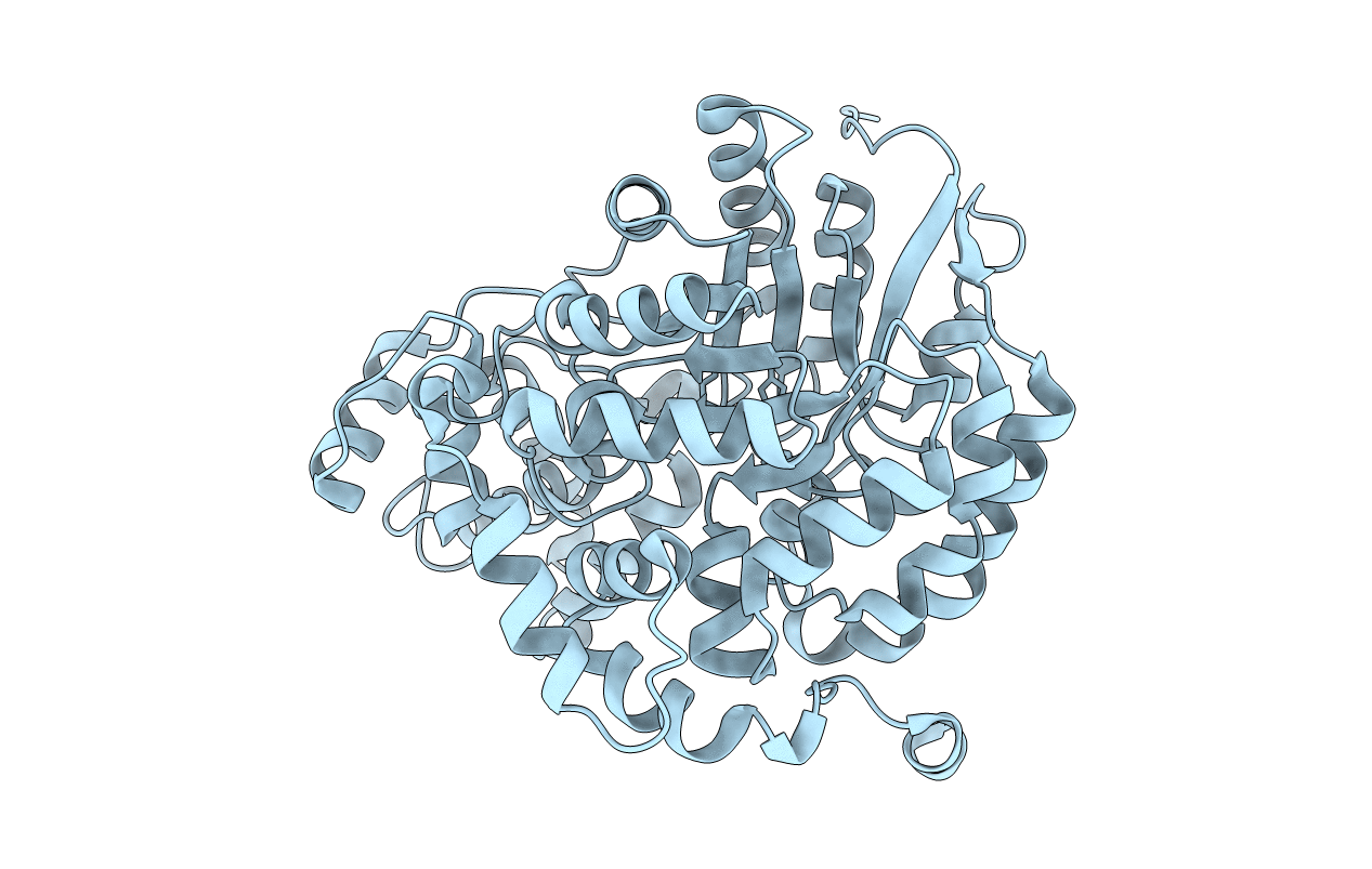 1S3H image