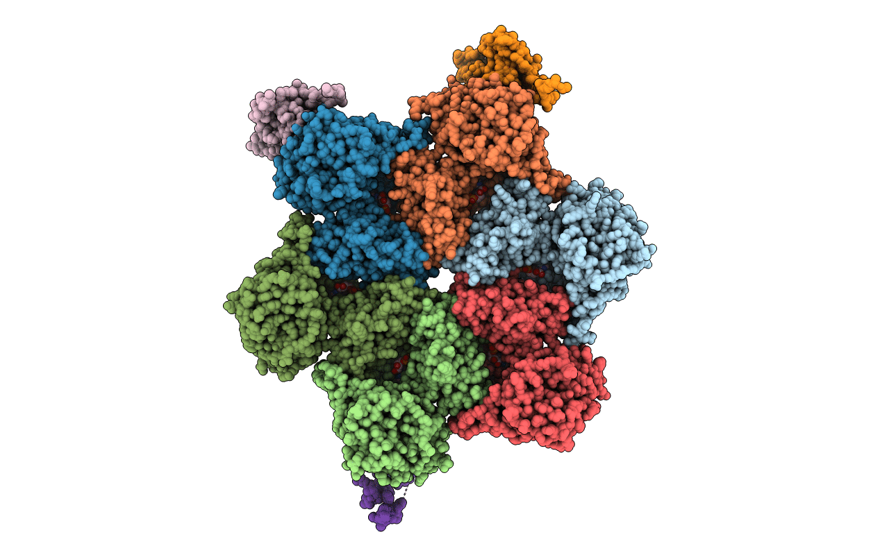 1S3S image