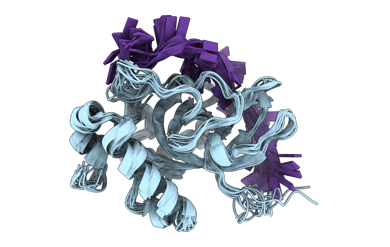 1S40 image