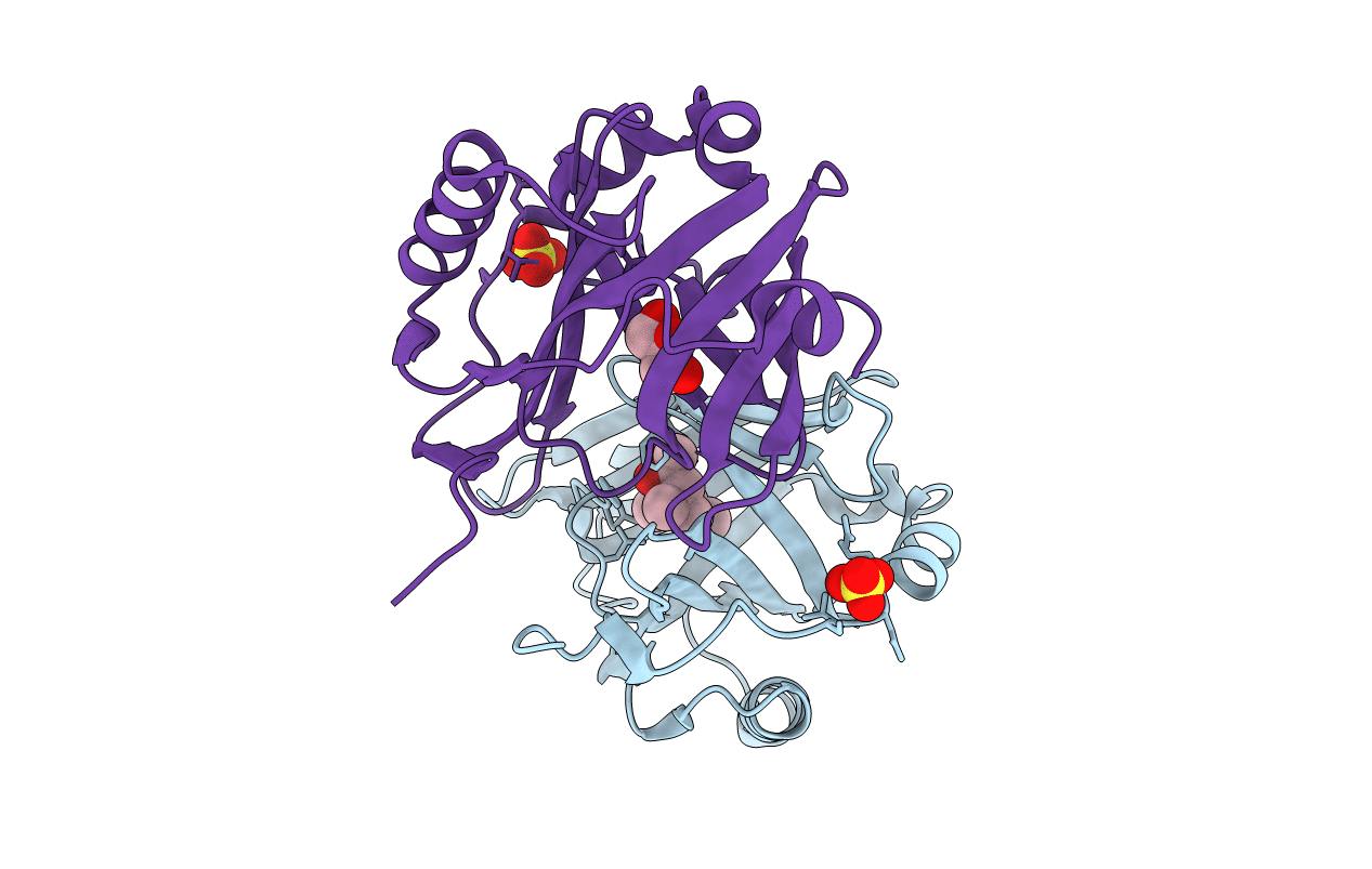 1S44 image