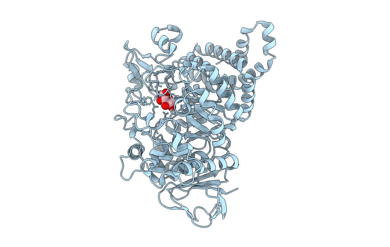 1S46 image