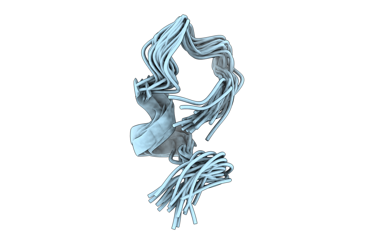 1S4T image