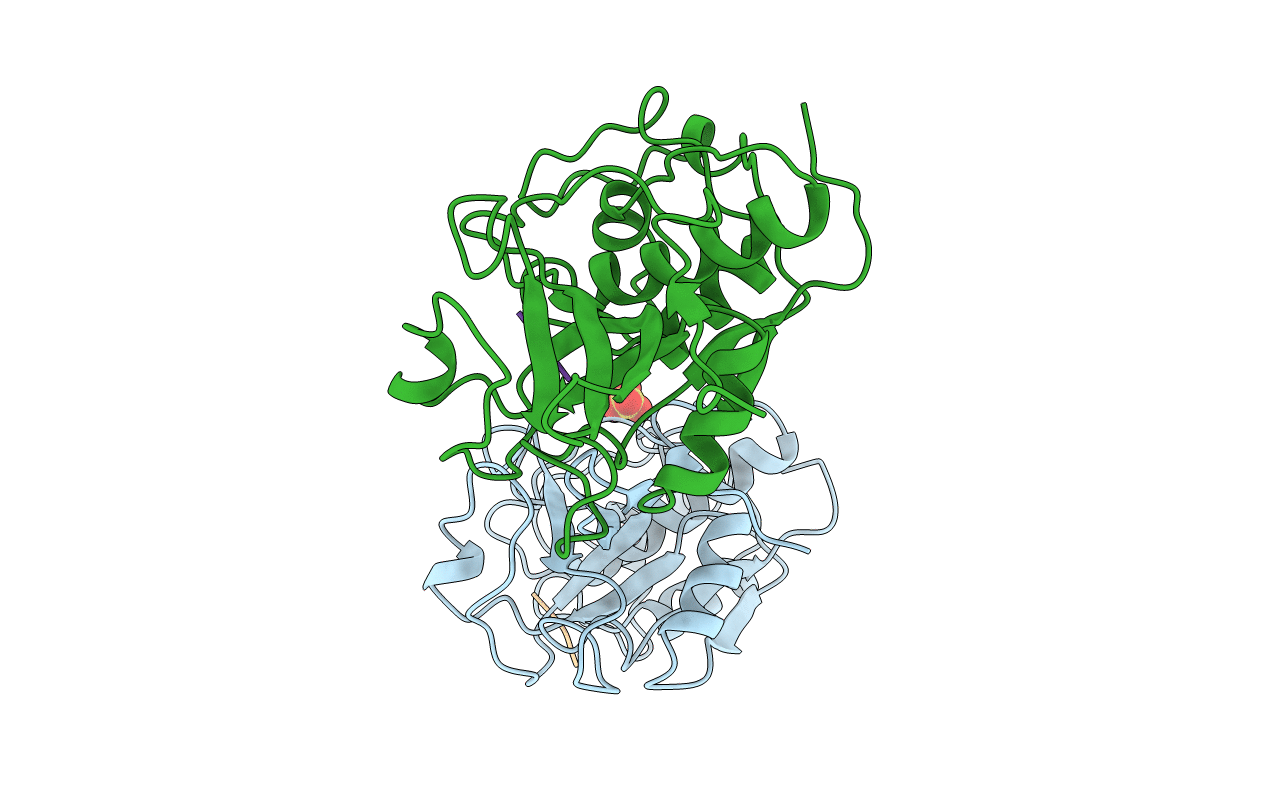 1S4V image