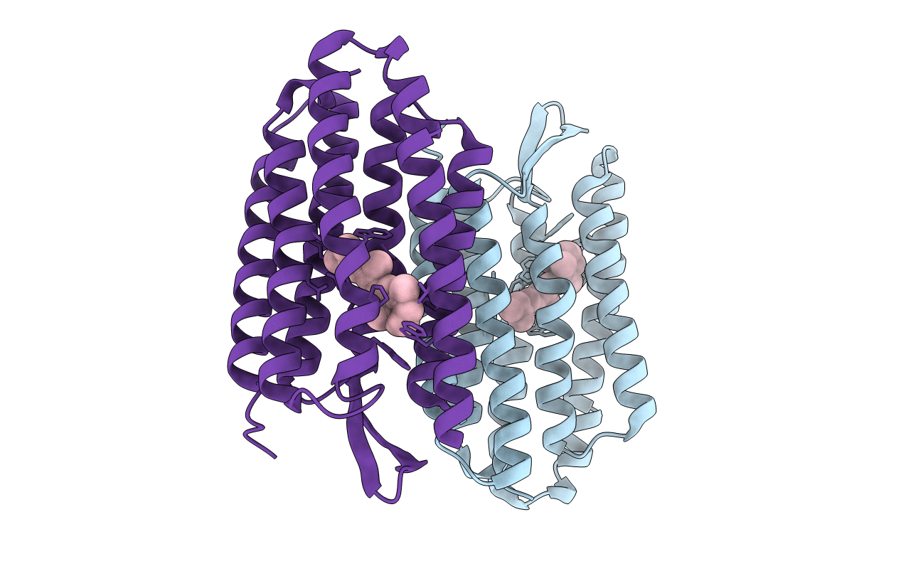 1S53 image