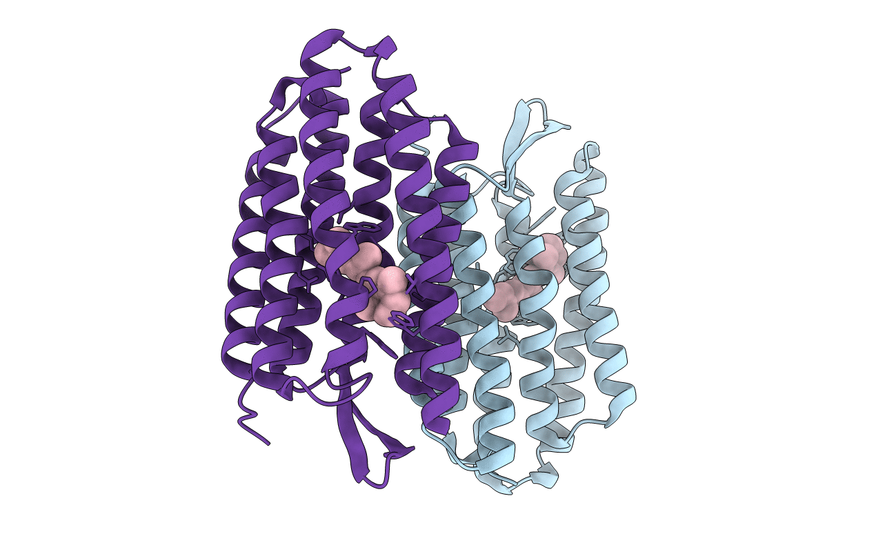 1S54 image